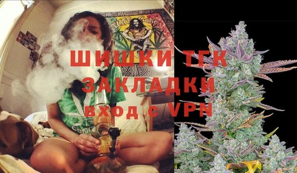 мдпв Навашино