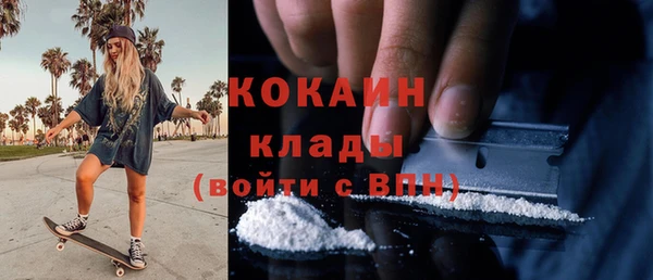мдпв Навашино