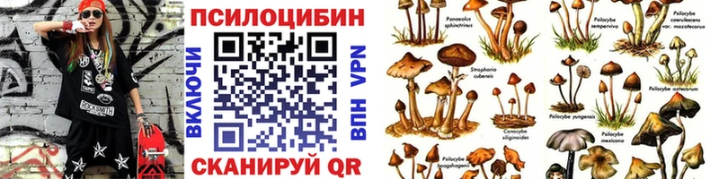 Псилоцибиновые грибы мицелий  купить наркотики цена  кракен зеркало  shop как зайти  Наволоки 